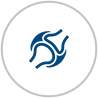 resource/images/26c19f439e824ffc92f69fbb7bbbc6ef_12.png 促进骨骼发育